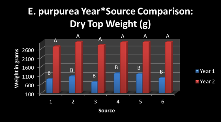 2013 Echinacea project_clip_image004