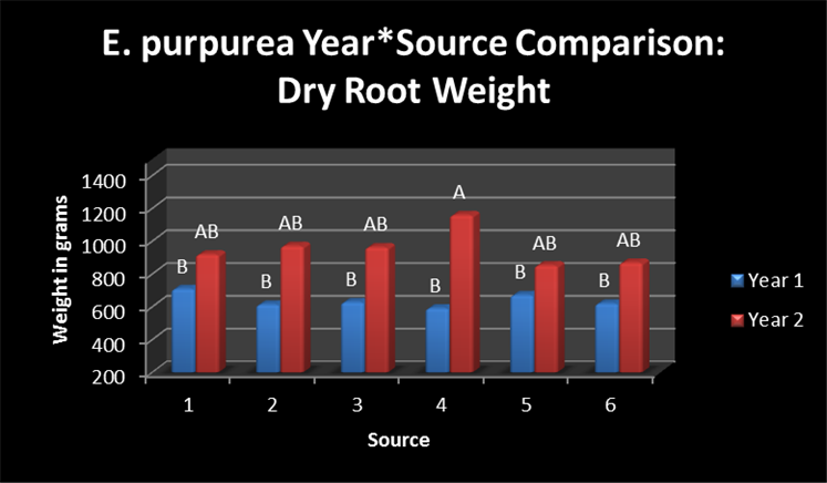 2013 Echinacea project_clip_image006