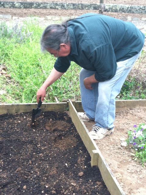 Person using a hand trowel to dig soil in a wooden raised garden bed