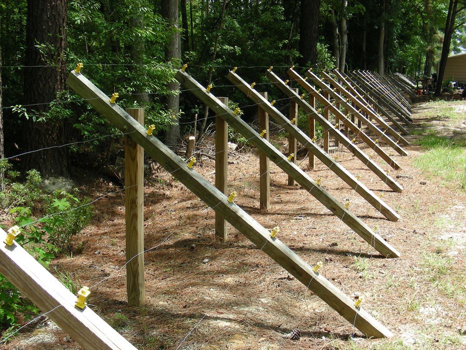 fencing