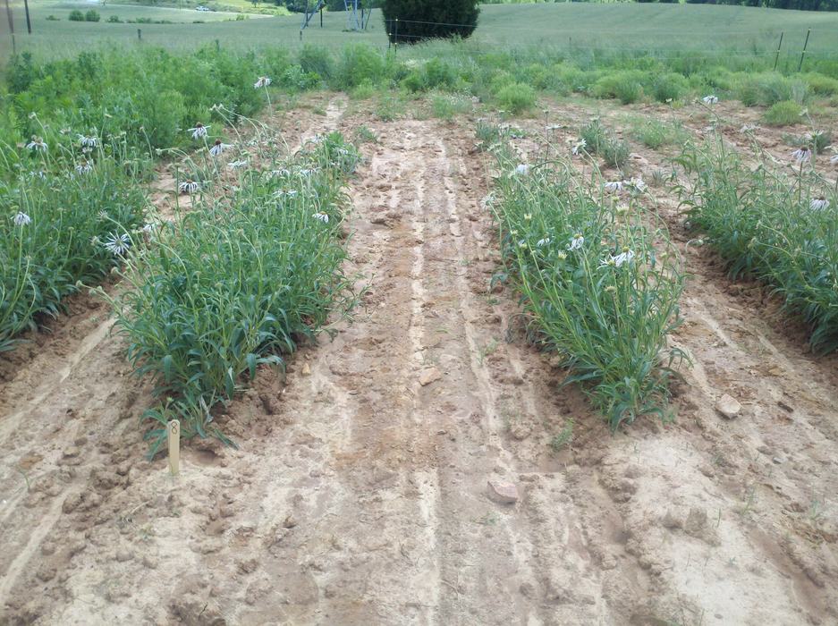 EP IN rv 2013-05-24_14-34-51_637