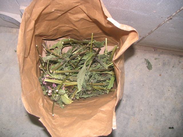 EP dry samples IMG_3185