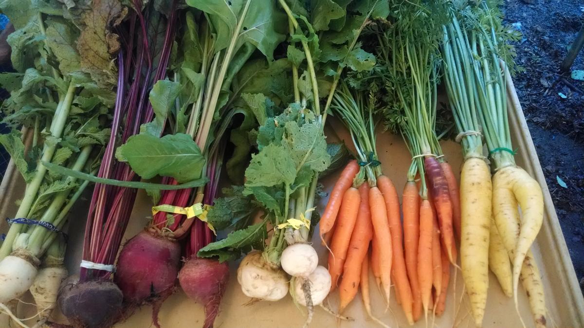 Image of vegetables
