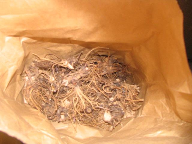 IMG_3451 dry samples