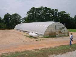 Greenhouse in eastern North Carolina
