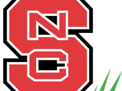 Red block S with interlocked white-outlined N and C and three green diagonal stripes