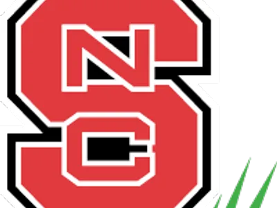Red block S with interlocked white-outlined N and C and three green diagonal stripes