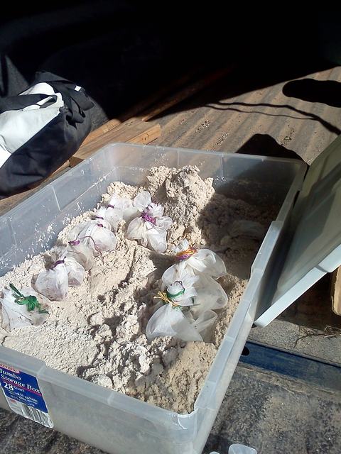 Plastic storage bin filled with sand containing multiple tied fabric seed bundles