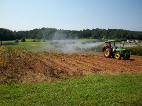 copper spray in August