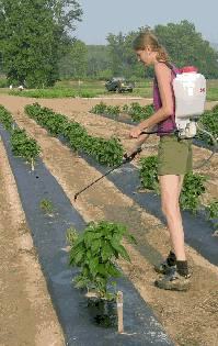 Spraying
