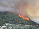 Wildfire burning through forested hillside above nearby houses