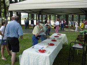 Grape tomato tasting
