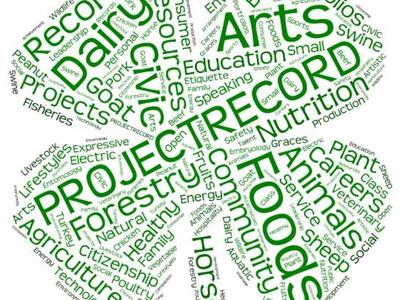 Green four-leaf clover word cloud with words including PROJECTS, RECORDS, ARTS, FOODS, ANIMALS