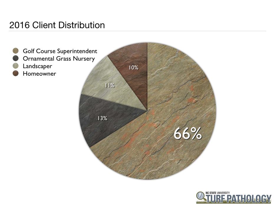 2016 client distribution pie chart