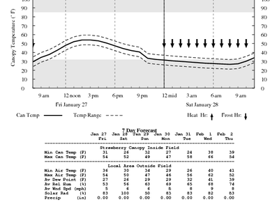 local hourly weather forecast chart