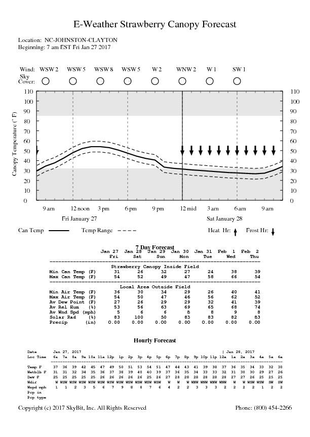 local hourly weather forecast chart