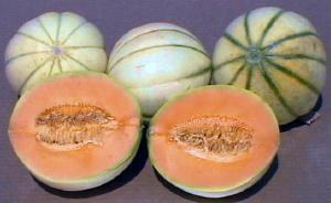 sliced and whole melons