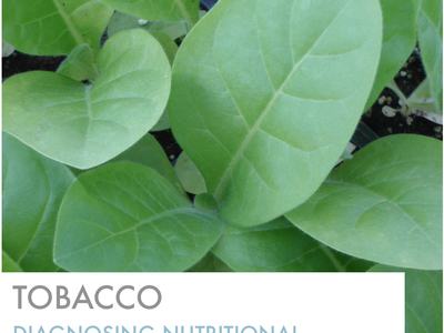 Green tobacco leaves with text "TOBACCO: Diagnosing Nutritional Disorders"