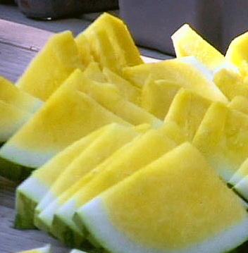 yellow seedless watermelon