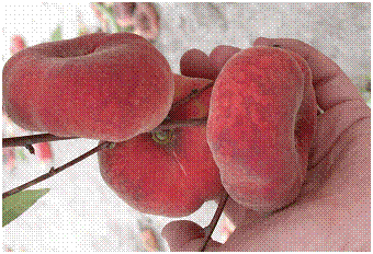 image002