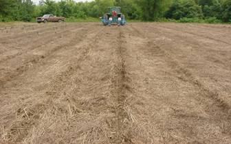 planter demonostration