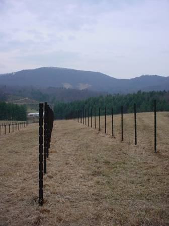 image006
