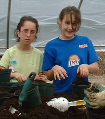 Planting