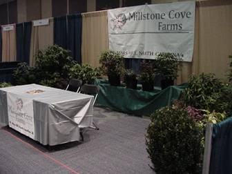 Millstone Cove Farms ornamentals