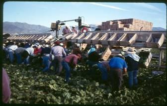 Our growers have also been shown operations via slides from across The country of methods they may want to incorporate into their plans 