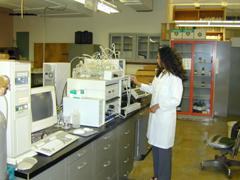 researcher working in the lab