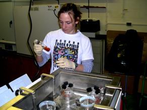 researcher working in the lab