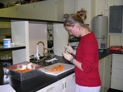 researcher working in the lab