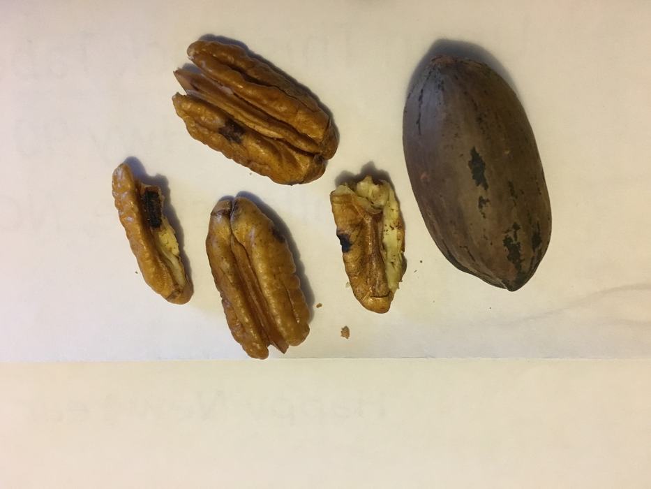 pecans