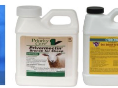 Five veterinary medication containers for livestock, including a bag labeled "PROHIBIT"