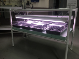 home made seed starting shelf