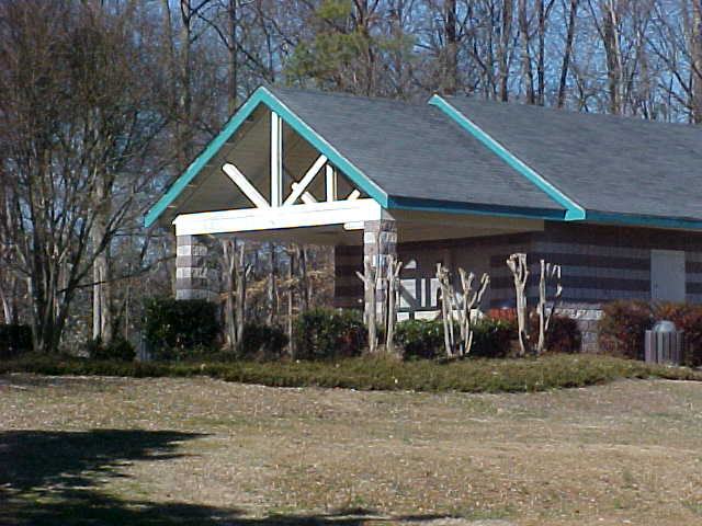 butchered crape myrtles