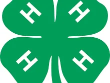 4-H clover logo