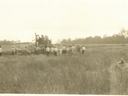 1929 combine harvesting wheat