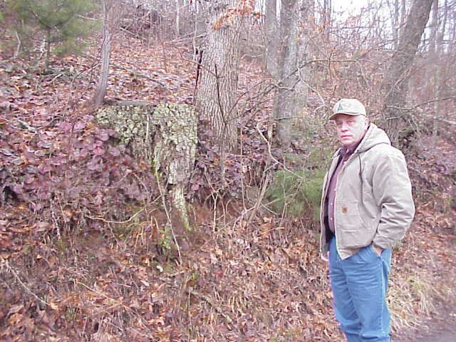 man standing near galax plants in a wooded area