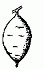 Visual key showing Shape 2