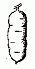 Visual key showing Shape 6