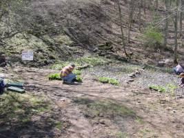 View of planting site in streambed