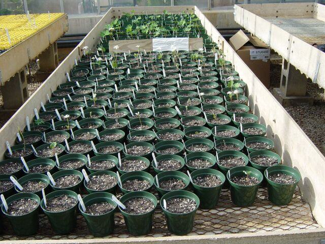 Propagation factors study 