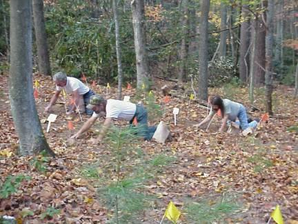 workers planting bloodroot for propagation study at Fletcher woods site