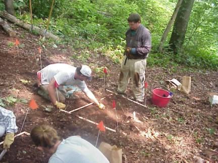 workers installing Waynesville companion planting (polyculture) study
