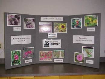 educational display about the project