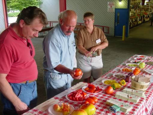 participants doing heirloom tomato and pepper taste test