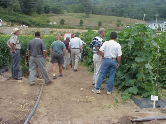 participants at heirloom and specialty vegetable field day