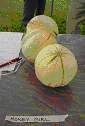 melons