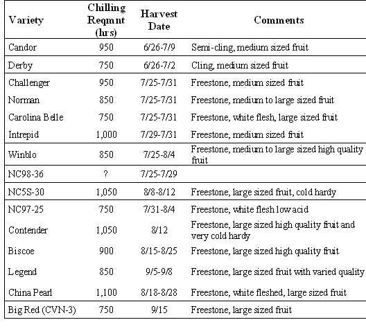 Table 1: Characteristics of the peach cultivars planted in 2001 at the Mountain Horticultural Crops Research Station, Fletcher, NC